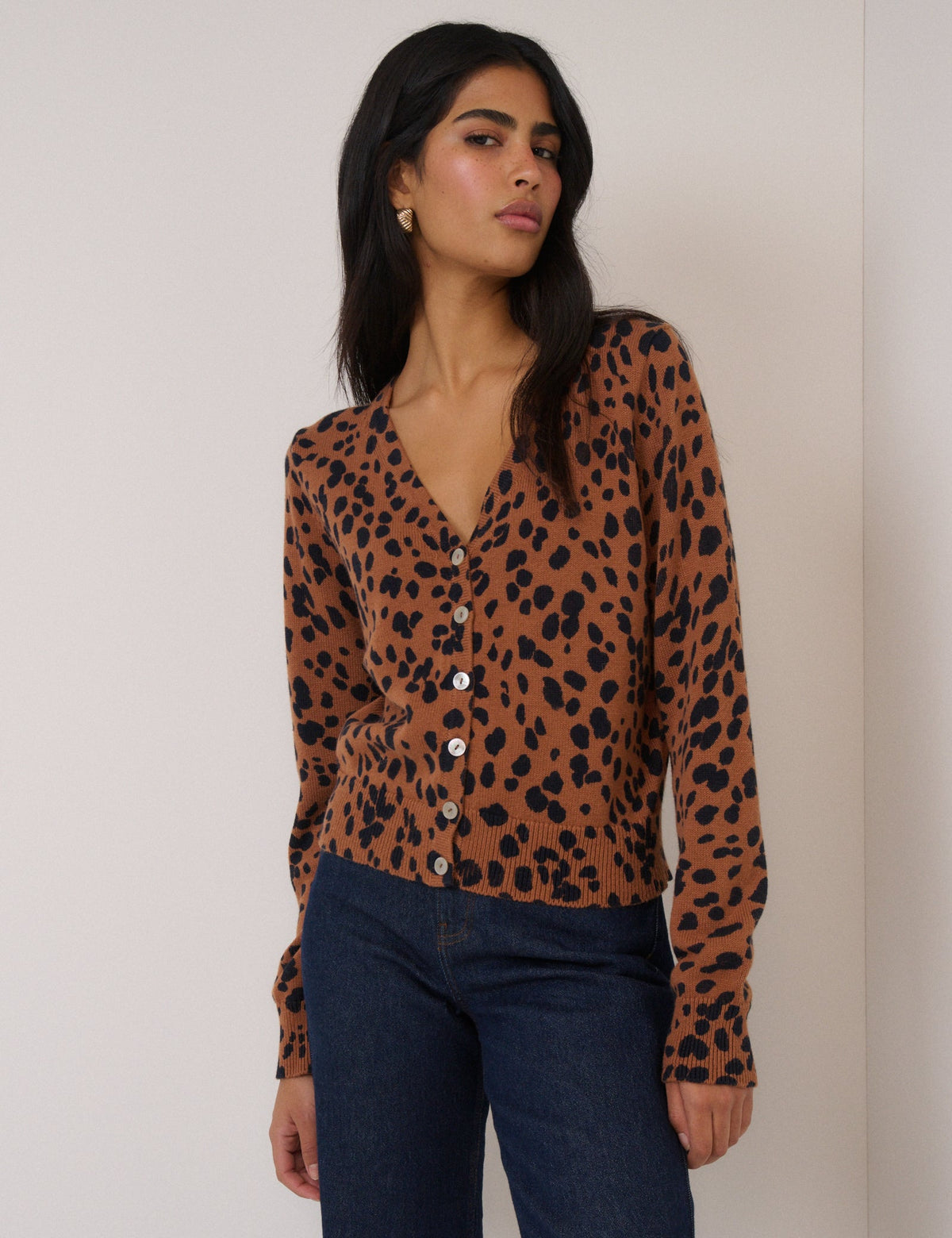 Brown Leopard Print Long Sleeve V-Neck Cardigan